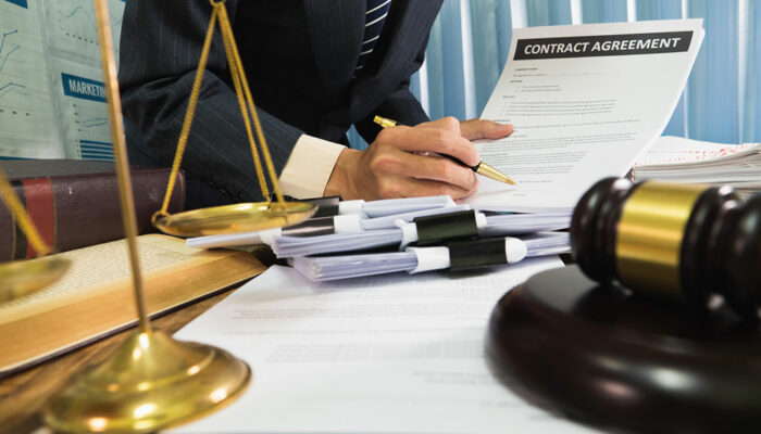 8 Tips to Choose the Right Lawyer for a Dog Bite Case