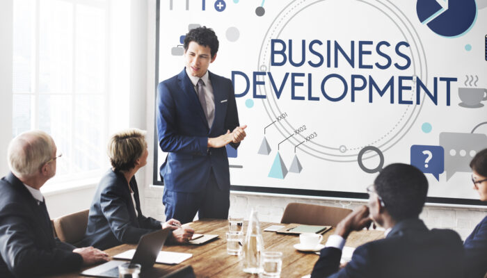 Strategies for Successful Business Development