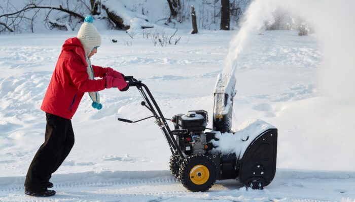 Top Snow Blower Deals for Black Friday 2024: A Comprehensive Guide