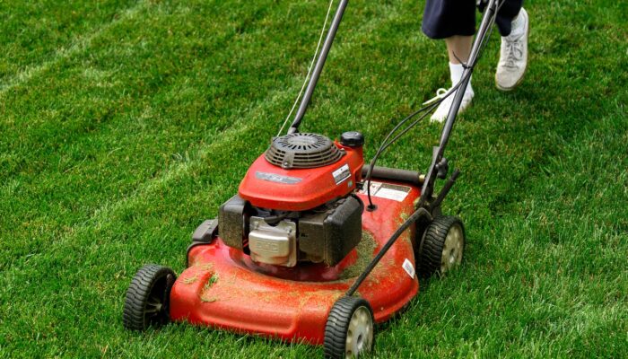 Black Friday 2024 Lawn Mower Sale: The Best Deals and Savings on Lawn Care Equipment