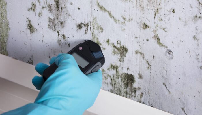 Home Tests for Mold: A Comprehensive Guide to Ensuring a Safe Living Environment