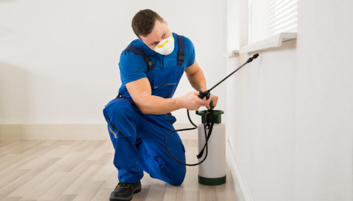 Pest Control – Types, Cost, And Top Services