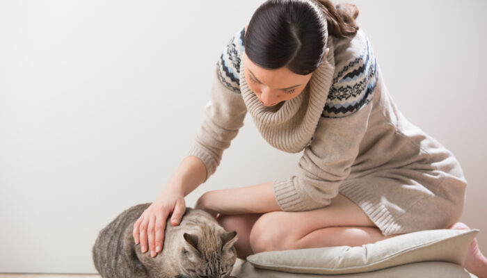 Here’s What You Should Avoid Adding to the Cat Food