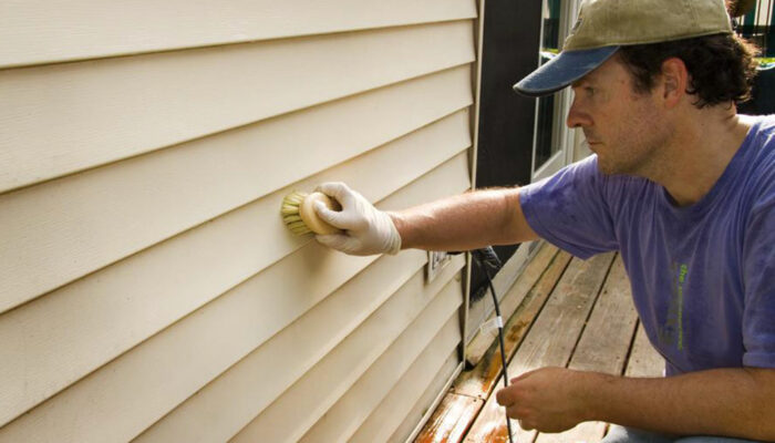 Home mold removal – Getting the right service