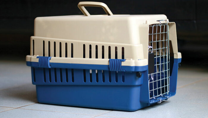 How to choose a large pet carrier