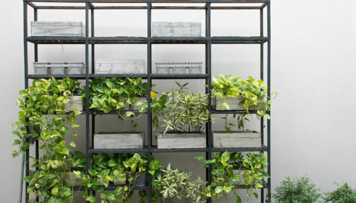 How to organize using wire shelves