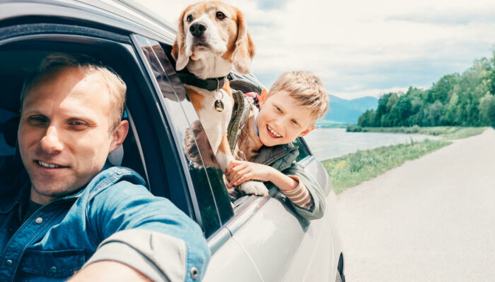 Pet Insurance Coverage For Vet Visits