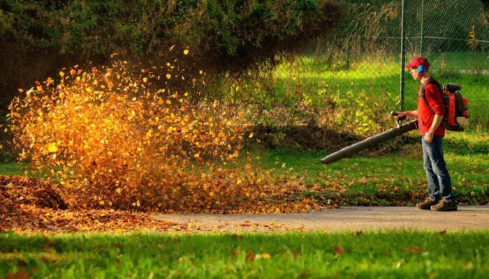 Planning on buying a leaf blower? Here’s what you need to know
