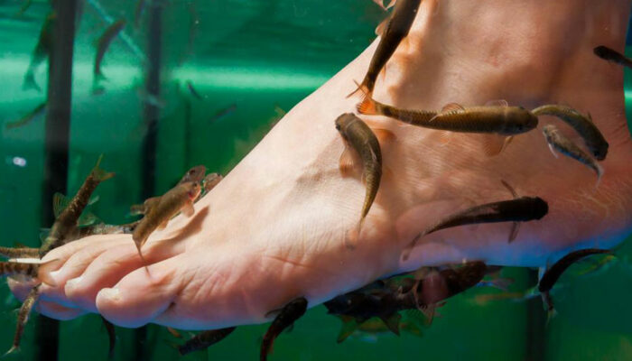 Psoriasis – Types, causes and popular treatments