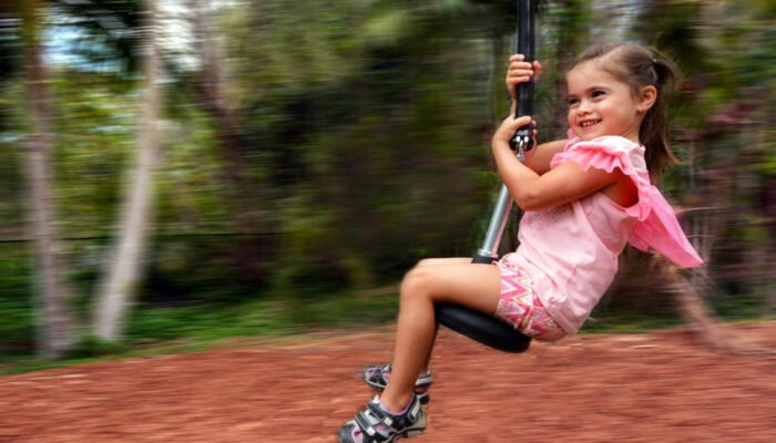 Top two features to focus on while shopping for swing sets