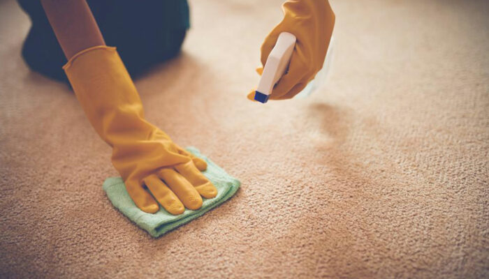 5 benefits of carpet cleaning services