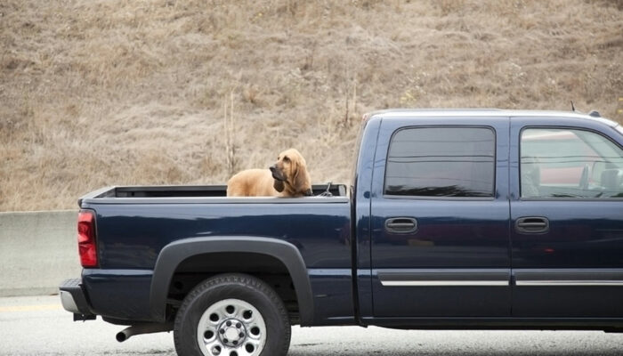 The hottest Chevy pickup trucks of the year