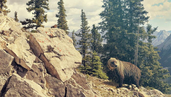 Tips to Help You Choose the Best Canadian Rockies Tour