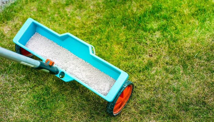 10 Best Materials for Top Dressing a Lawn